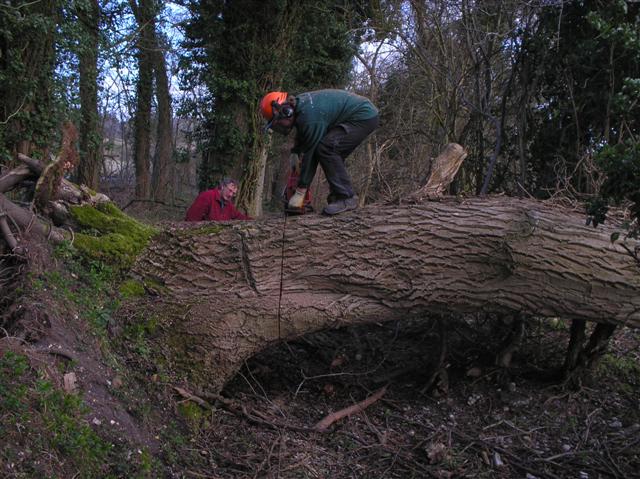 Rob ' s First Cut