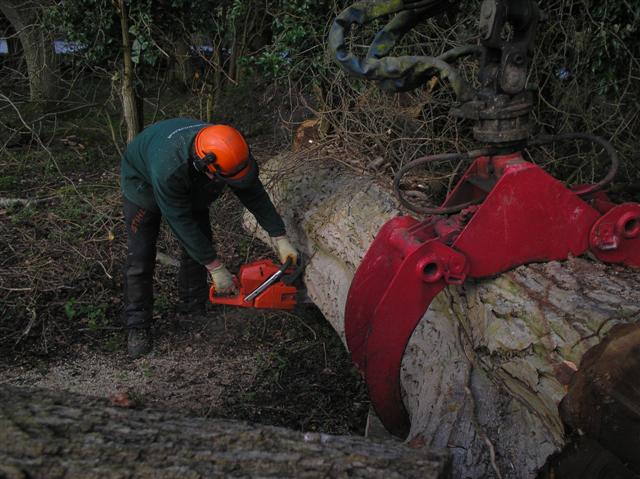 Rob's Second Cut