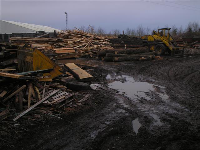 Wet Sawmill Yard