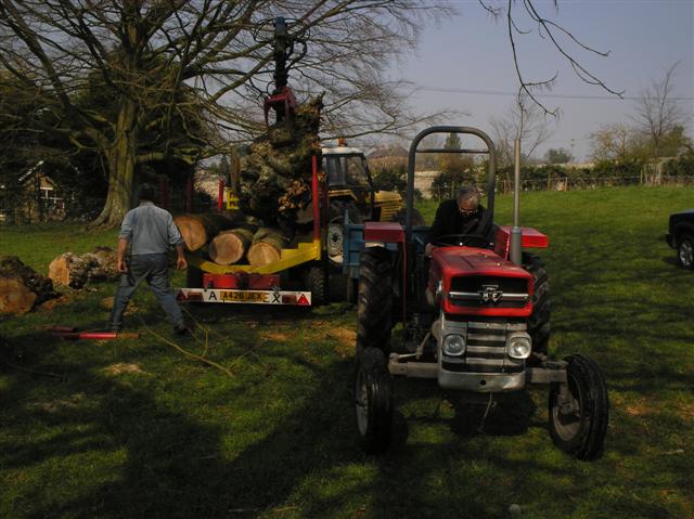 Collecting trees